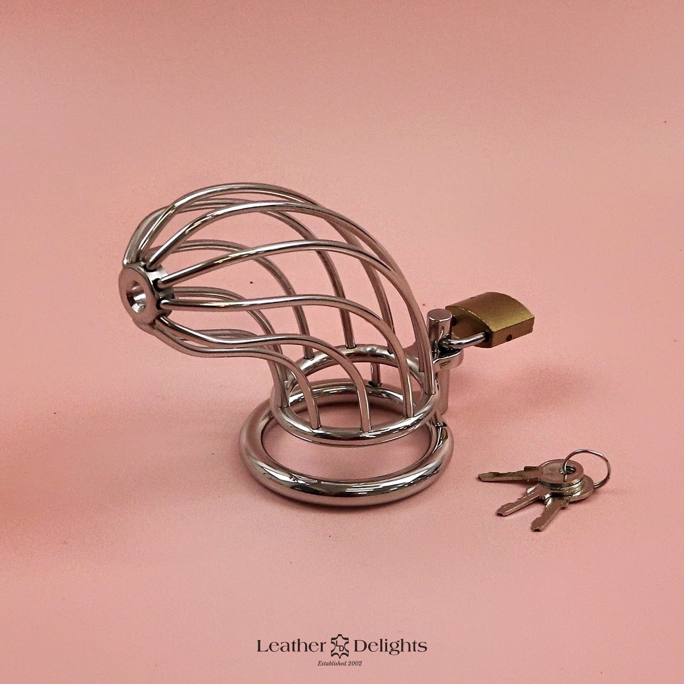 Chastity Cage