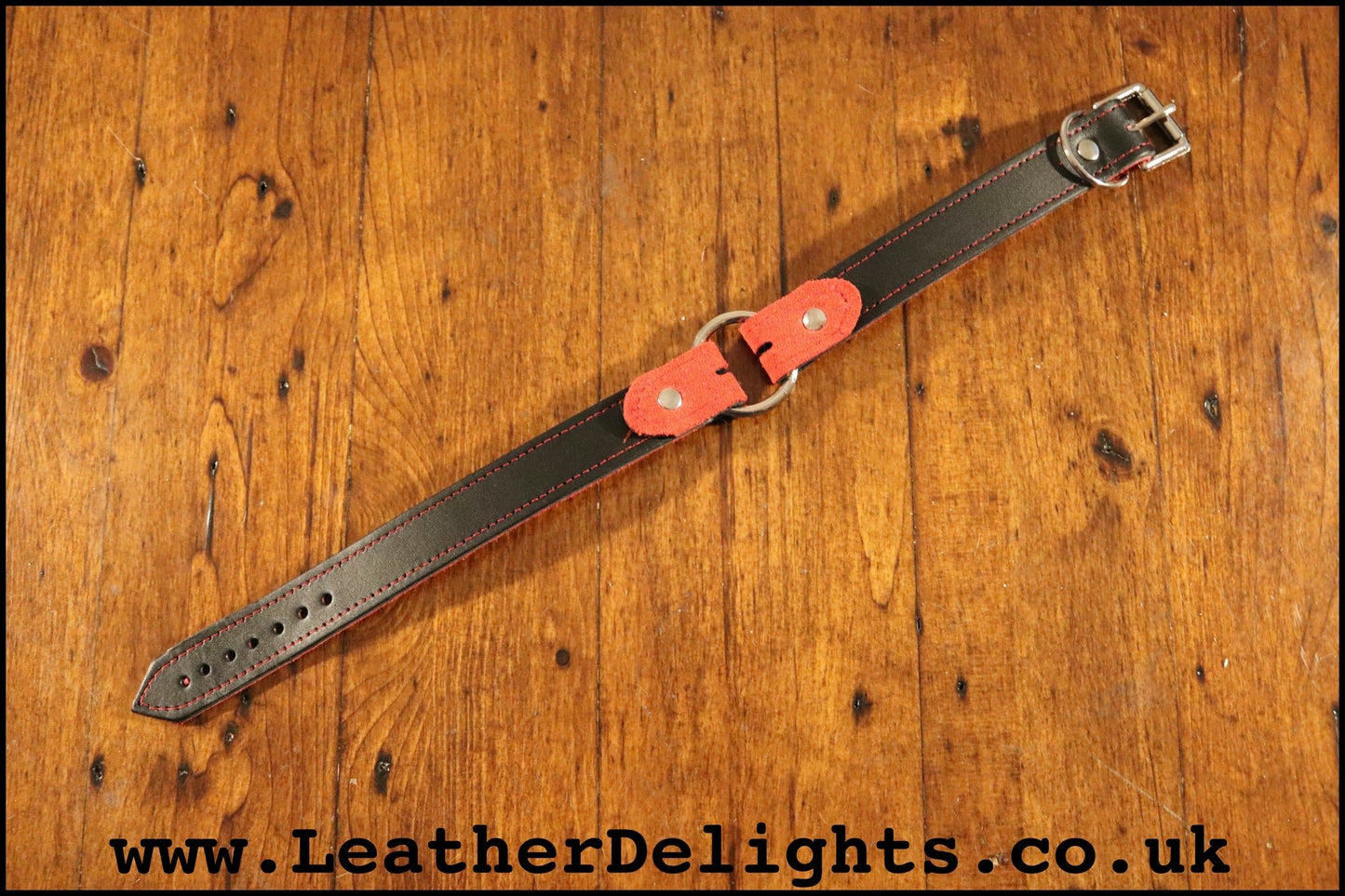 1" Wide O Ring Collar - Leather Delights