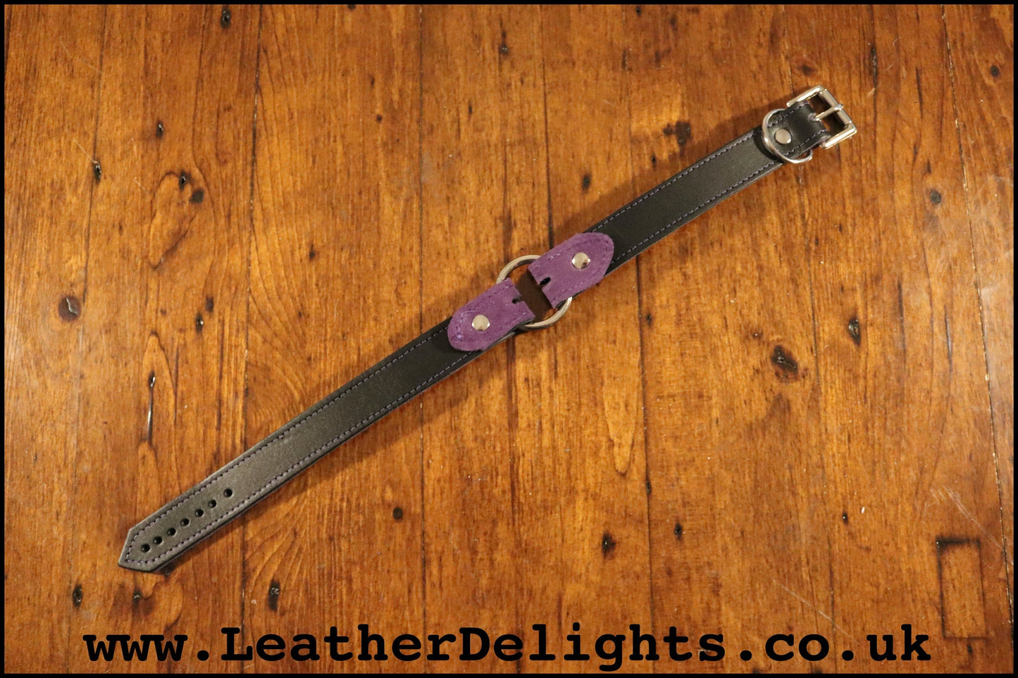 1" Wide O Ring Collar - Leather Delights