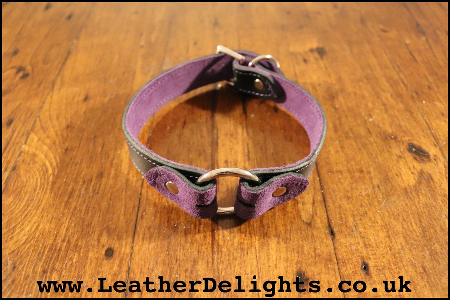 1" Wide O Ring Collar - Leather Delights