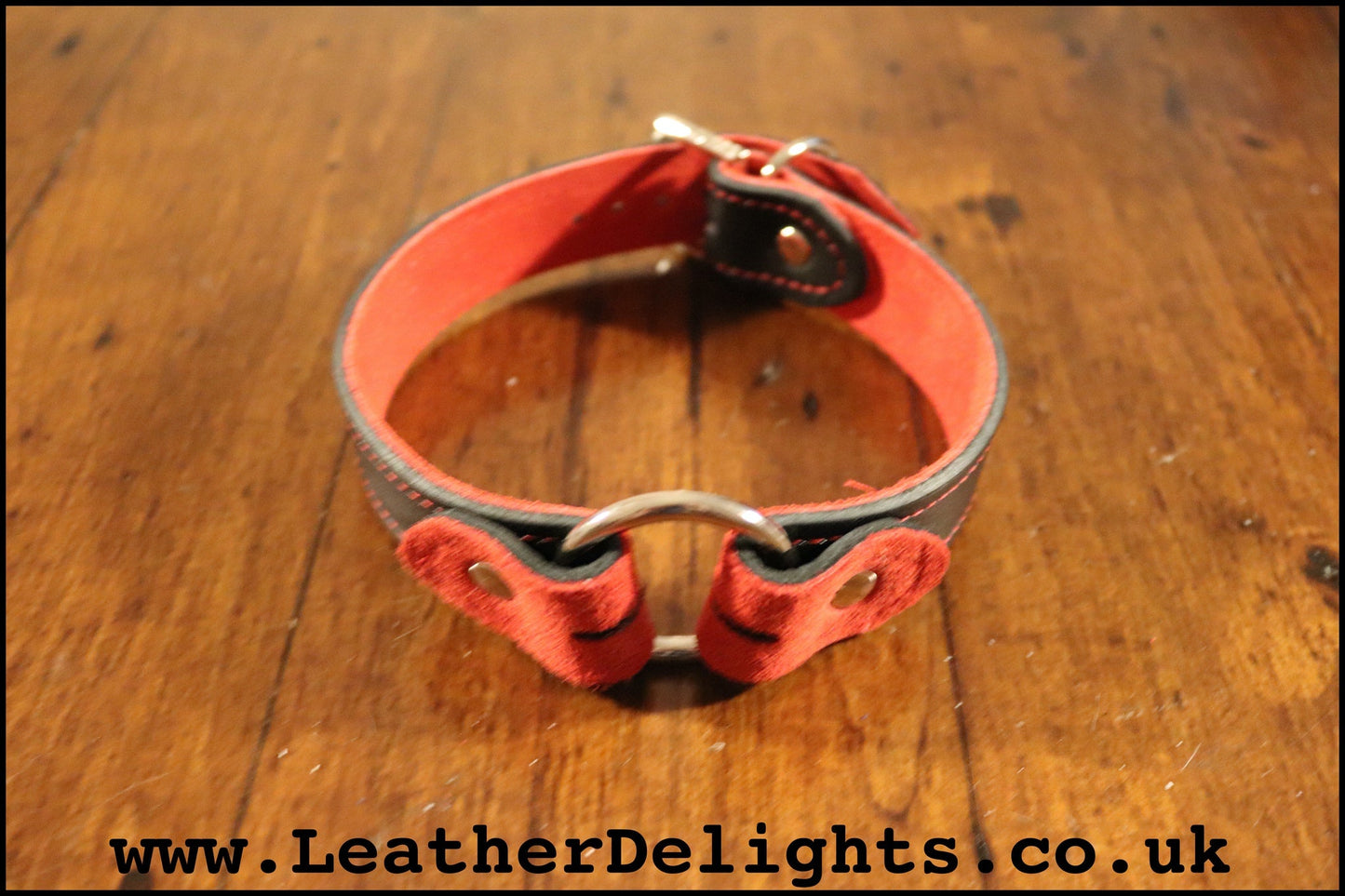 1" Wide O Ring Collar - Leather Delights
