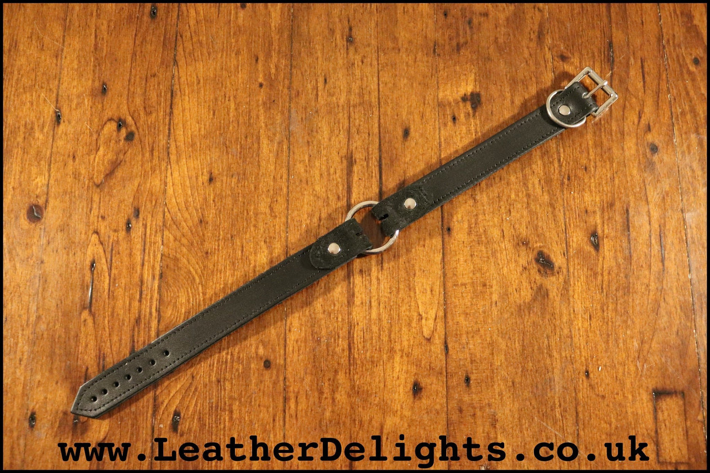 1" Wide O Ring Collar - Leather Delights