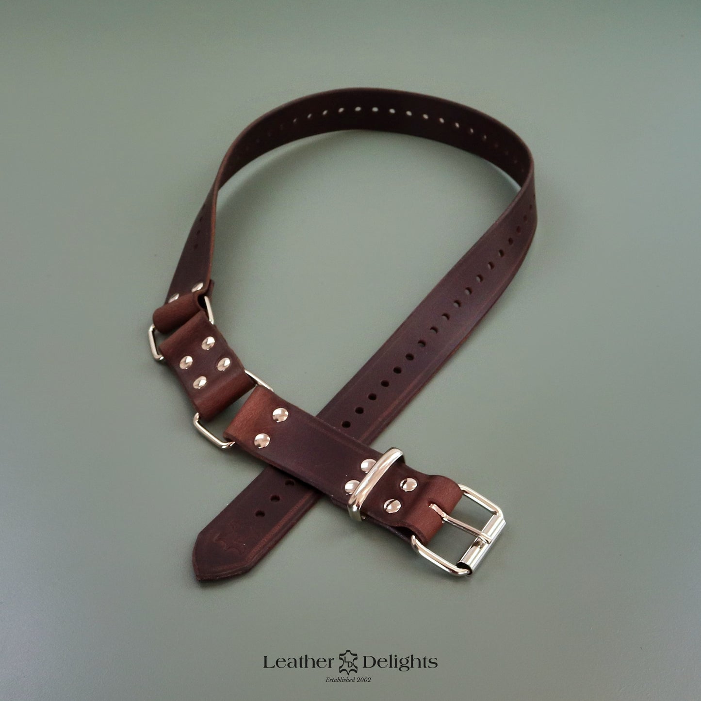 Ceinture de retenue de servitude 