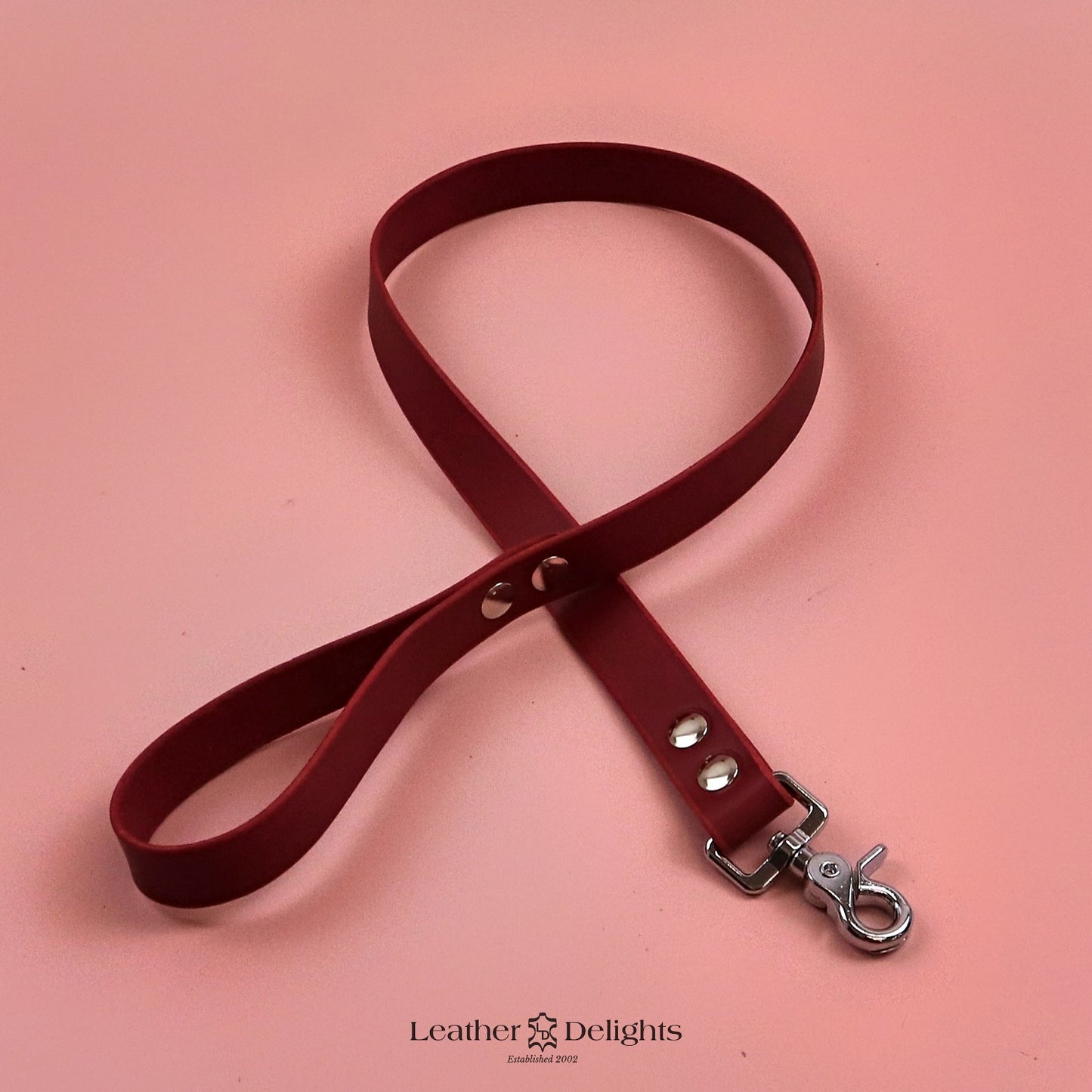 Leather Lead