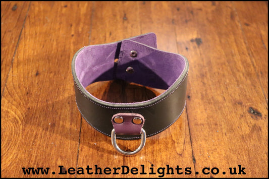 2" Wide Contour Collar with Welded D Ring - Leather Delights