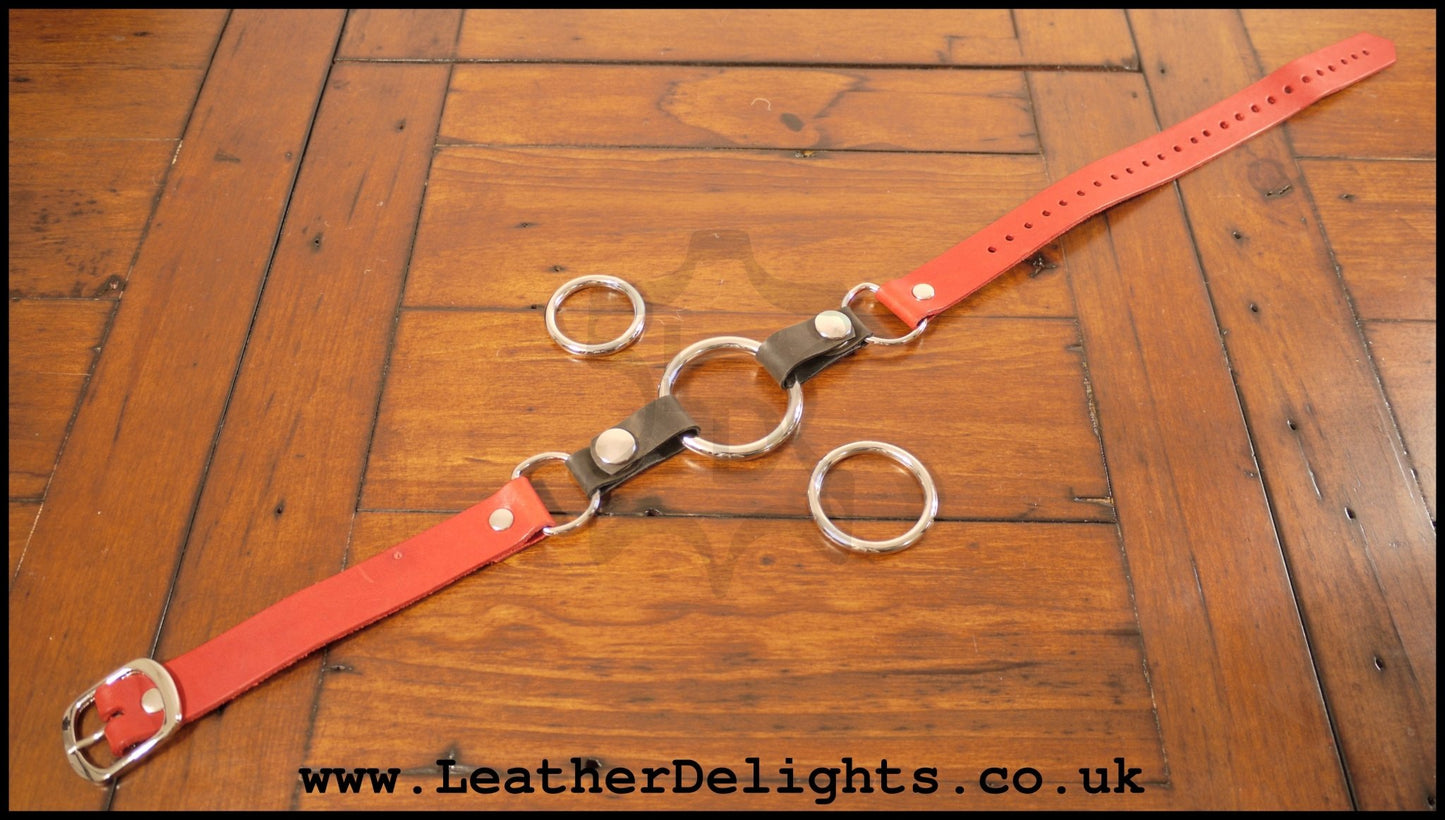 Ring Gag Set - Leather Delights